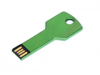 USB 2.0- флешка на 16 Гб в виде ключа, зеленый, размер 16Gb